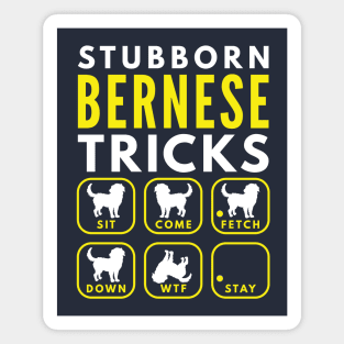 Stubborn Bernese Tricks - Dog Training Magnet